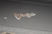 photo 10887671.jpg